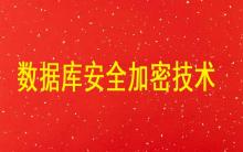 數(shù)據(jù)庫安全加密技術(shù)