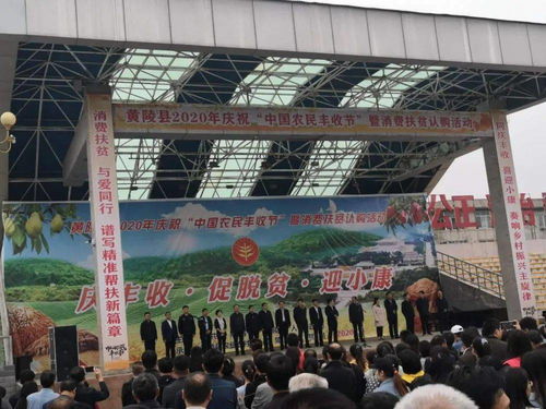 促增收，助脫貧——雙龍鎮(zhèn)參加全縣消費(fèi)扶貧產(chǎn)品展銷會(huì)，開展經(jīng)營助力打贏脫貧攻堅(jiān)戰(zhàn)